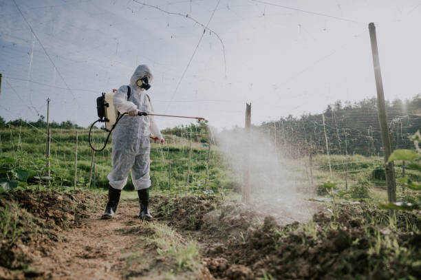 Best Commercial Pest Control Services  in Horace, ND